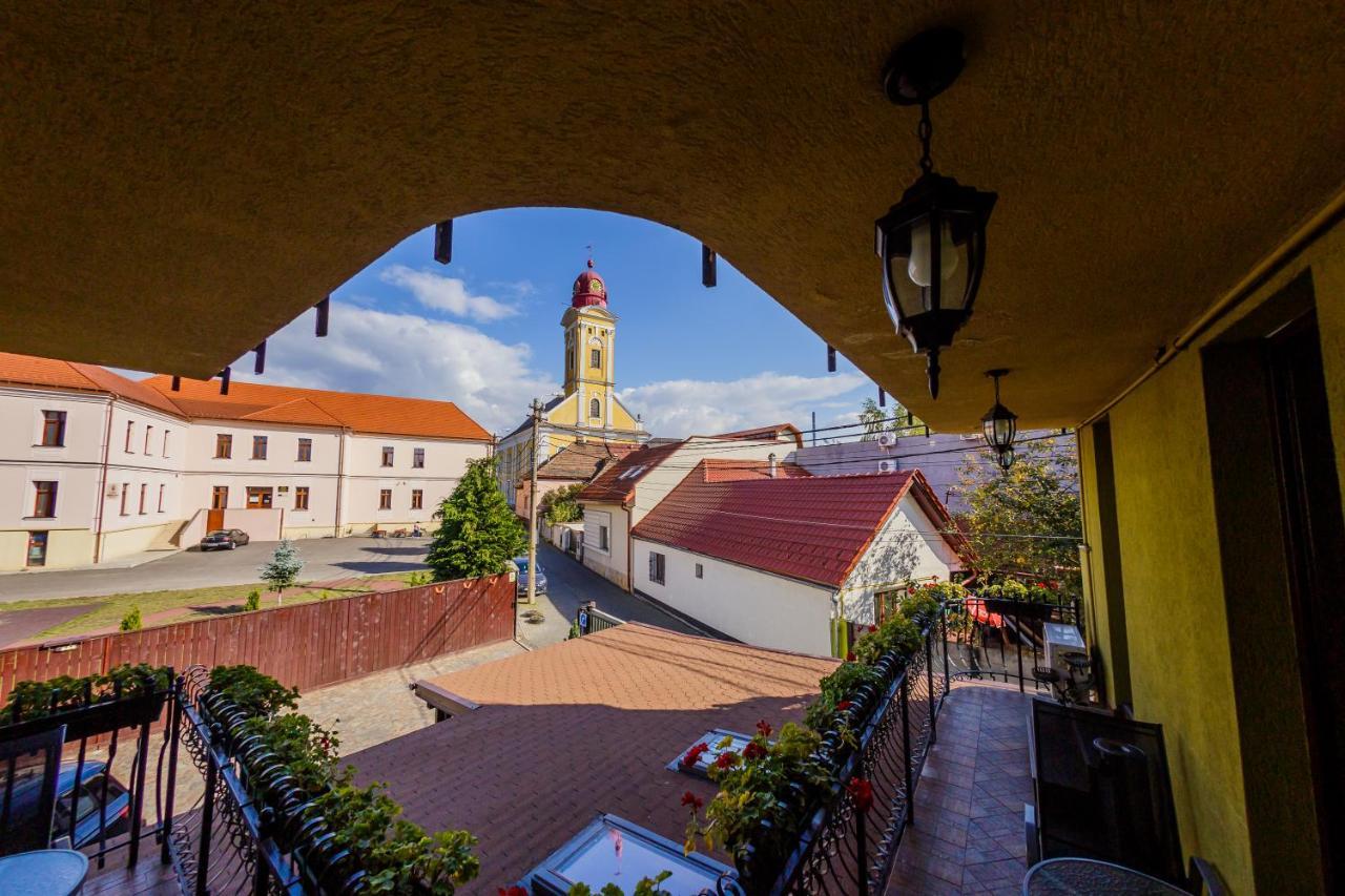 Pensiunea Ideal Baia Mare Exteriér fotografie
